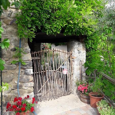Maison Aux Lavandes The Studio Vaumeilh Exterior foto